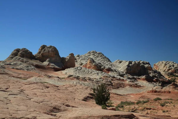 Bolso branco no monumento nacional dos penhascos do vermelhão, Arizona — Fotografia de Stock