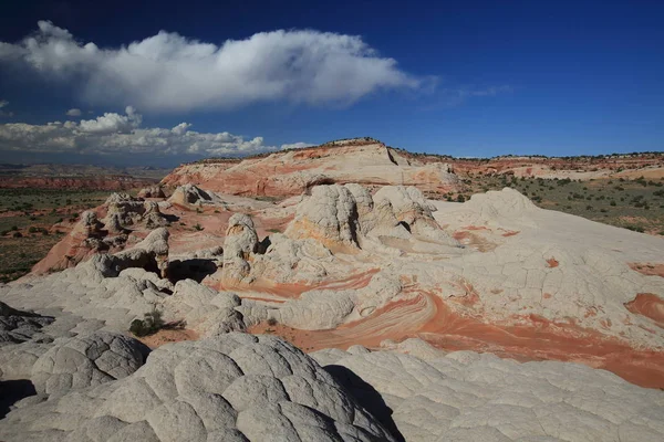 アリゾナ州の朱色の崖の国立記念碑の白いポケット, — ストック写真