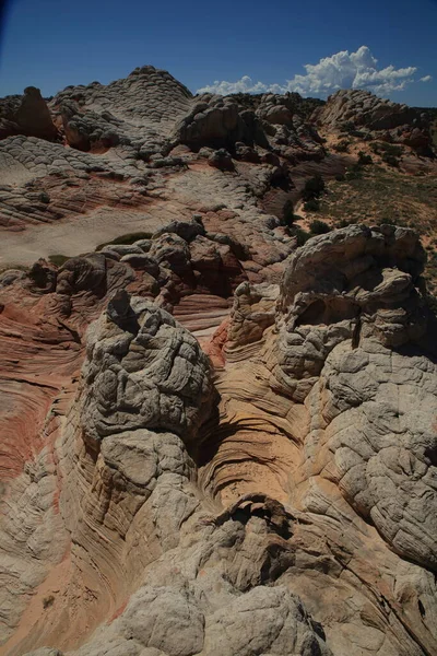 Vit ficka i Vermilion Cliffs National Monument, Arizona — Stockfoto