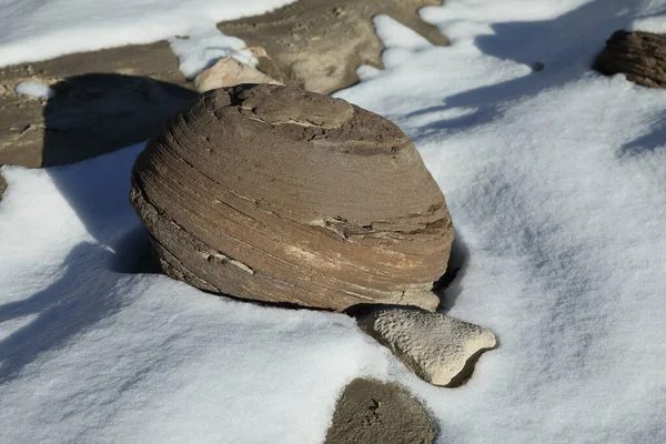 Área Selvagem Zin Badlands Bisti Novo México — Fotografia de Stock