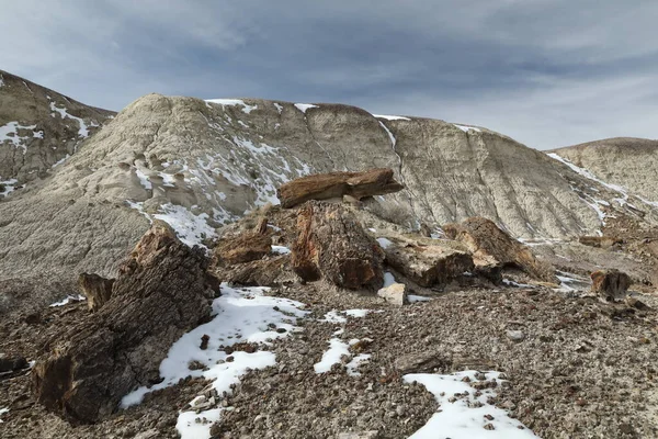 Zin Bisti Badlands New Mexico — 스톡 사진