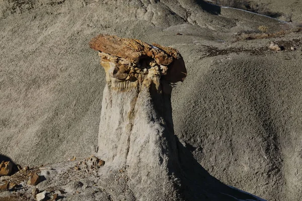 Зін Дикі Простори Деревини Худу Бісті Бедлендс Нью Мексико — стокове фото