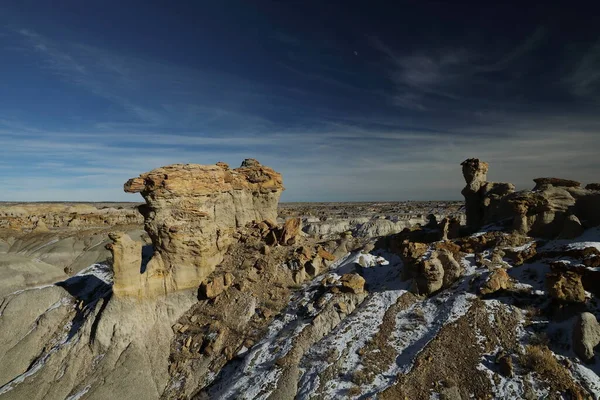 Zin Wildnis Bereich Versteinertes Holz Hoodoo Bisti Badlands New Mexico — Stockfoto