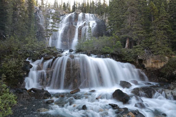 Tangle Creek Falls Jasper National Park Alberta Canada — Stock Photo, Image