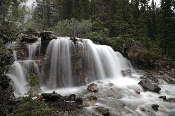 Tangle Creek Falls Jasper National Park Alberta Canada — Stock Photo, Image