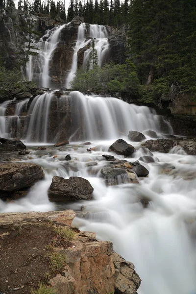 タングル クリーク滝ジャスパー国立公園 アルバータ カナダ — ストック写真