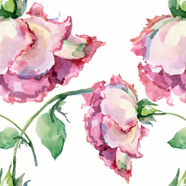 Rose Rosa Ramificate Illustrazione Acquerello Mano Modello Senza Cuciture Uno — Foto Stock