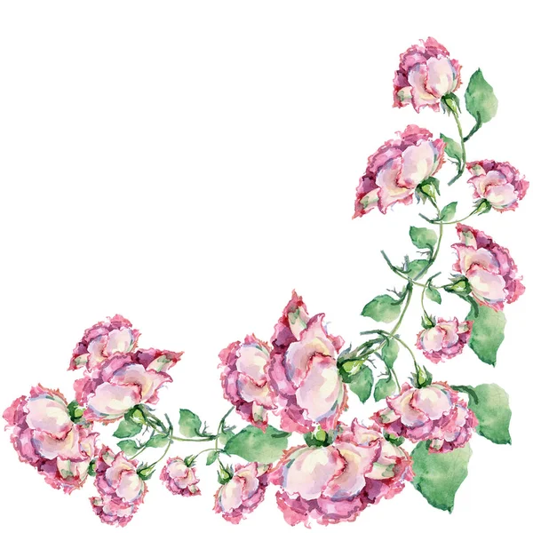 Ramo Rosa Rose Angolo Illustrazione Acquerello Mano Modello Sfondo Bianco — Foto Stock