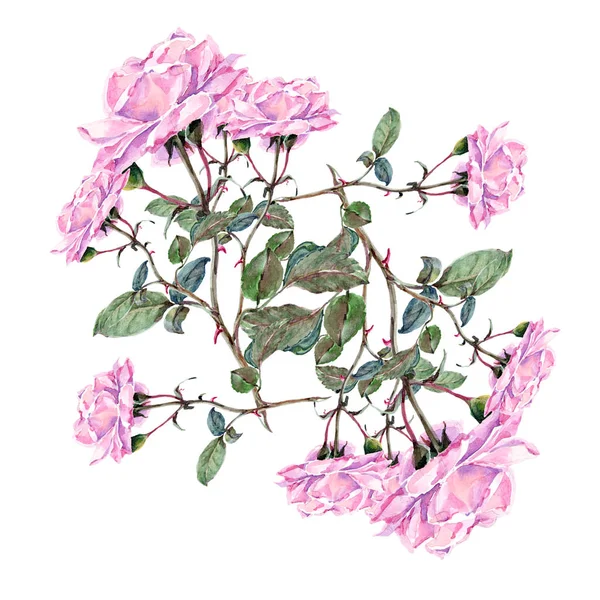 Růžový Akvarel Kytici Růží Ilustrace Kvetoucí Větve Krásný Květinový Vzor — Stock fotografie