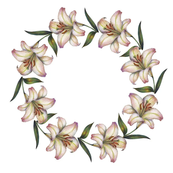 Acuarela Lily Ilustración Una Corona Floreciente — Foto de Stock