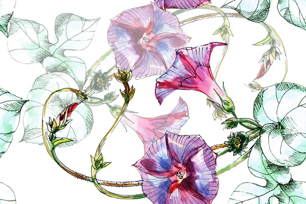 Suluboya mor çiçekler gündüzsefası. Çiçek seamless modeli. 