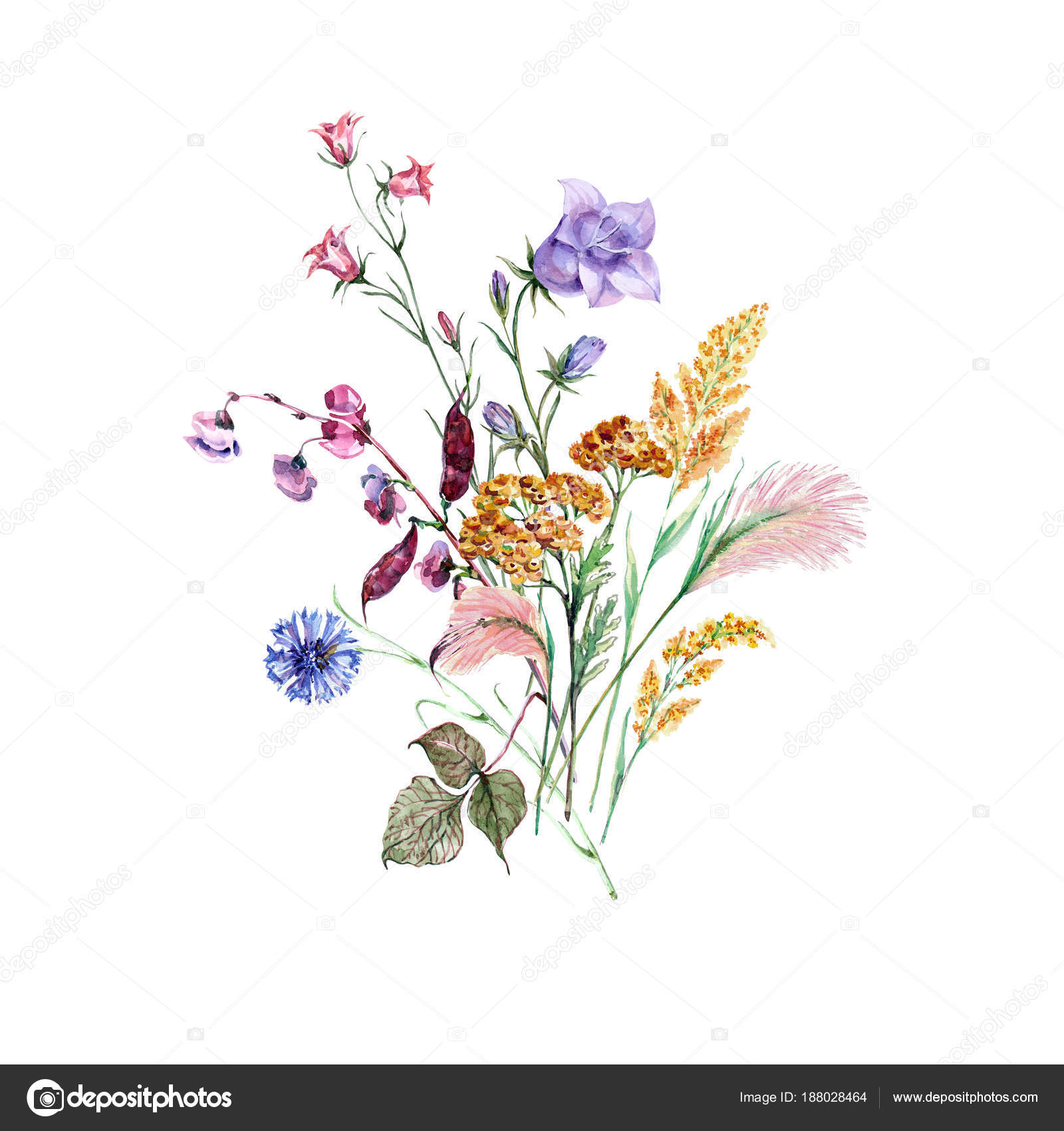 Download Beautiful Floral Bouquet Flowers Illustration Field Flowers Watercolor Stock Photo Image By C Olga Kleko 188028464