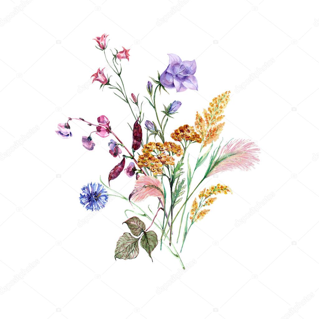 Beautiful floral bouquet. Flowers  illustration. Field flowers of watercolor.