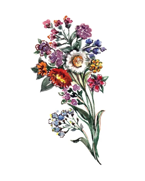 Grafik Strauß Wildblumen Florale Illustration Auf Weißem Hintergrund — Stockfoto