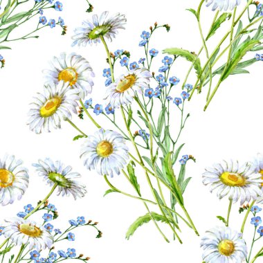 Buket çiçekler suluboya, papatya ve mavi. Beyaz bir arka plan üzerinde çiçek seamless modeli.