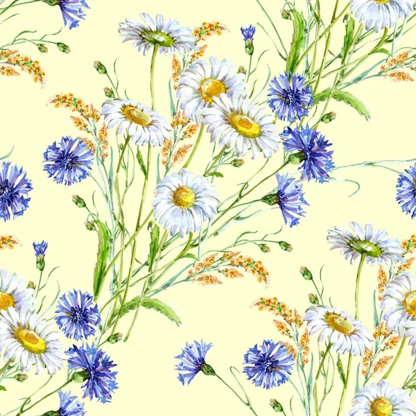 Bouquet Chamomile Cornflower Blue Watercolor Floral Seamless Pattern Light Yellow — Stock Photo, Image