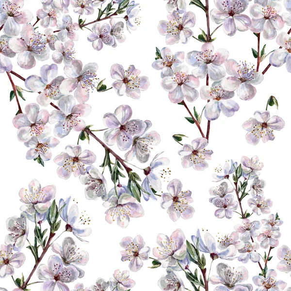 Virágok Cseresznye Akvarell Varrat Nélküli Virágmintás — Stock Fotó