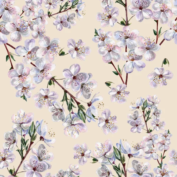 Flowers Cherry Watercolor Floral Seamless Pattern — Stock Photo, Image