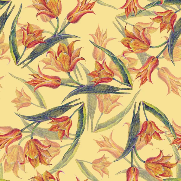 Bouquet Yellow Tulips Color Pencil Seamless Pattern Handwork Cream Background — Stock Photo, Image