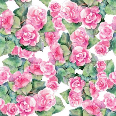 Suluboya pembe Begonya. Dikişsiz desen tasarımı için.