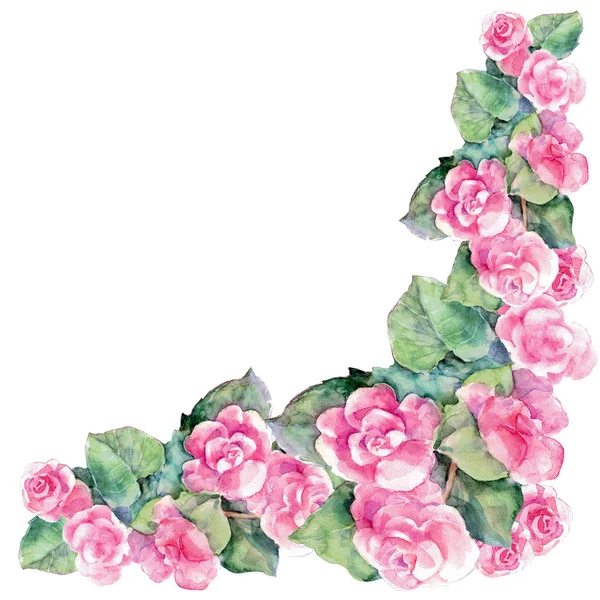 Begonia Esquina Acuarela Ilustración Para Diseño —  Fotos de Stock