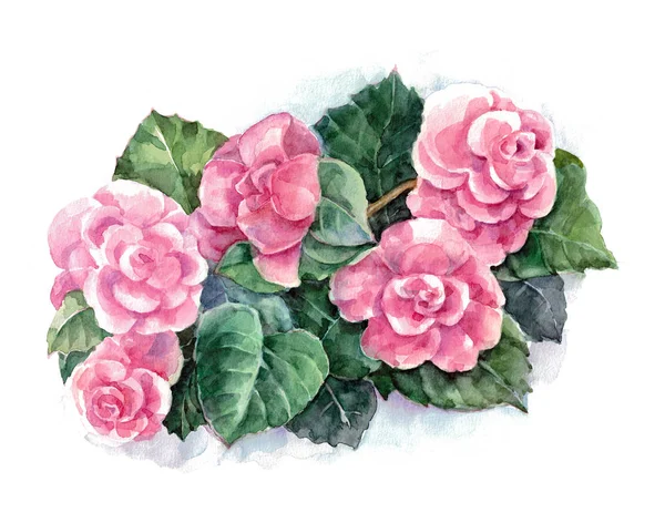 Bouquet Begonia Watercolor Illustration Design — Stock Photo, Image