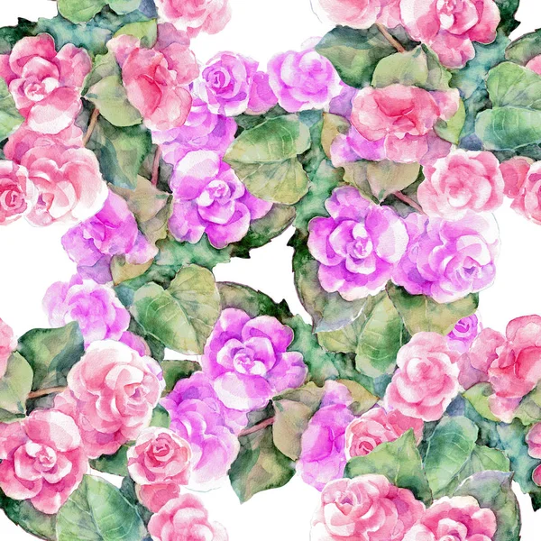 Violet Begonia Watercolor Seamless Pattern Design — Stock Photo, Image