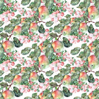 Suluboya çiçek ve meyve elma beyaz zemin üzerinde. Seamless Modeli küçük çiçek.
