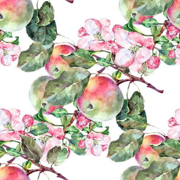Akvarelu Květiny Ovoce Apple Bílém Pozadí Květinový Vzor Bezešvé — Stock fotografie