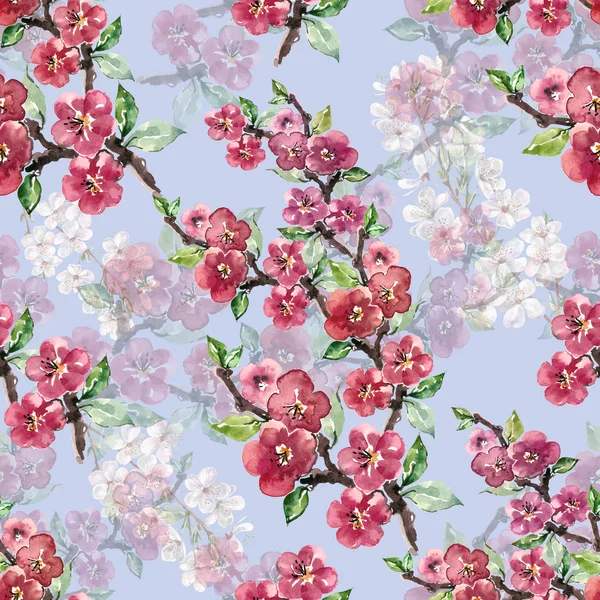 Watercolor Apple Cherry Flowers Seamless Pattern Light Blue Background — Stock Photo, Image