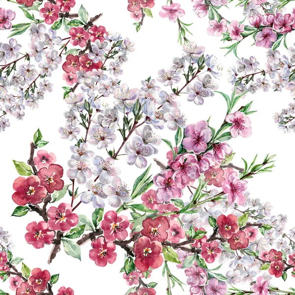Suluboya Bahar Çiçekleri Çiçek Açan Ağaç Beyaz Arkaplanda Kusursuz Desen — Stok fotoğraf