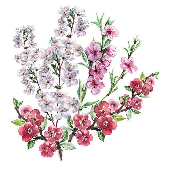 Aquarelle Bouquet Printemps Fleurs Floraison Illustration Arbre Sur Fond Blanc — Photo