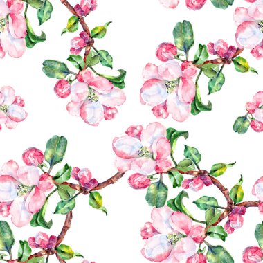 Suluboya şube elma. Mor bir arka plan üzerinde seamless modeli içinde çiçek büyük elma