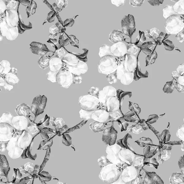 モノクロ パターンをシームレスな枝花アップル 灰色の背景 — ストック写真
