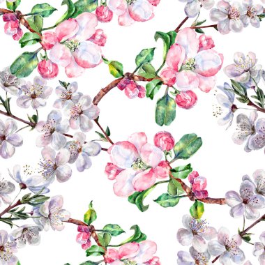 Suluboya çiçek elma çiçekleri kiraz ile. El işi Dikişsiz desen beyaz bir arka plan üzerinde.