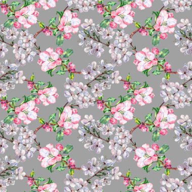 Suluboya çiçek elma çiçekleri kiraz ile. El işi Dikişsiz desen gri bir arka plan üzerinde.
