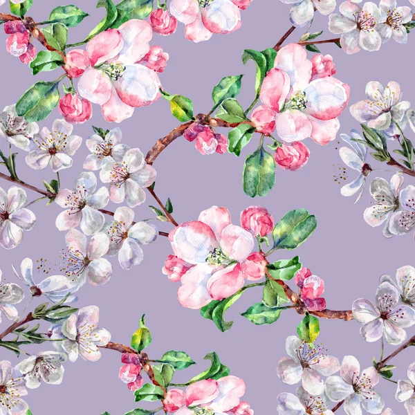 Apple Akvarell Virágok Cseresznye Virágok Kézimunka Varrat Nélküli Mintát Lila — Stock Fotó