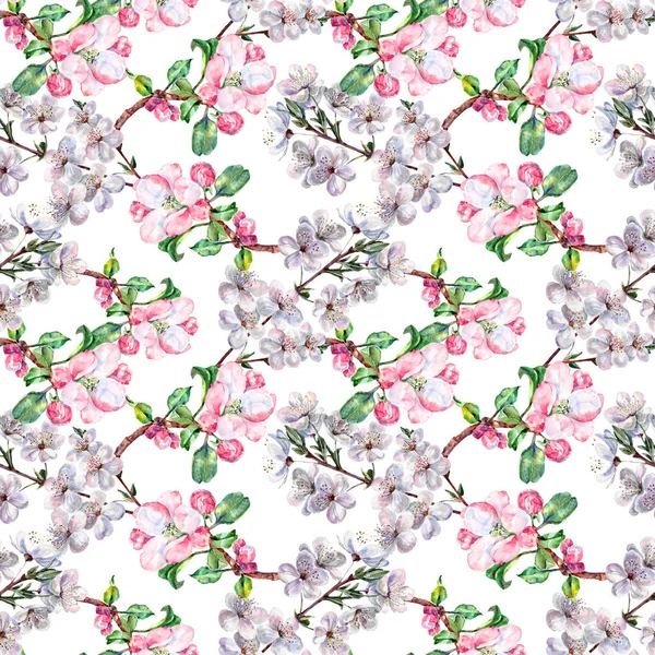Apple Akvarell Virágok Cseresznye Virágok Kézimunka Varrat Nélküli Mintát Fehér — Stock Fotó