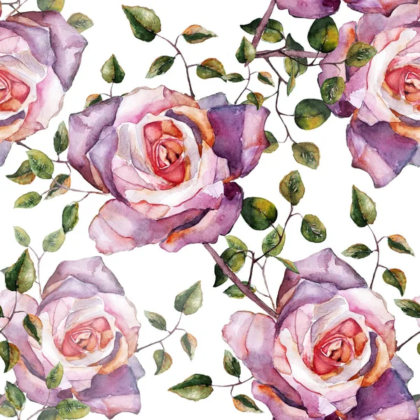 Akwarela Gałąź Róża Białym Tle Kwiatowy Wzór — Zdjęcie stockowe