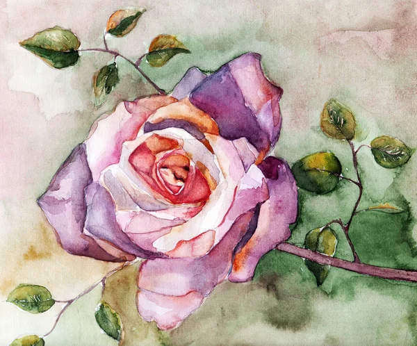 Branch Rosa Sfondo Acquerello Illustrazione Floreale — Foto Stock