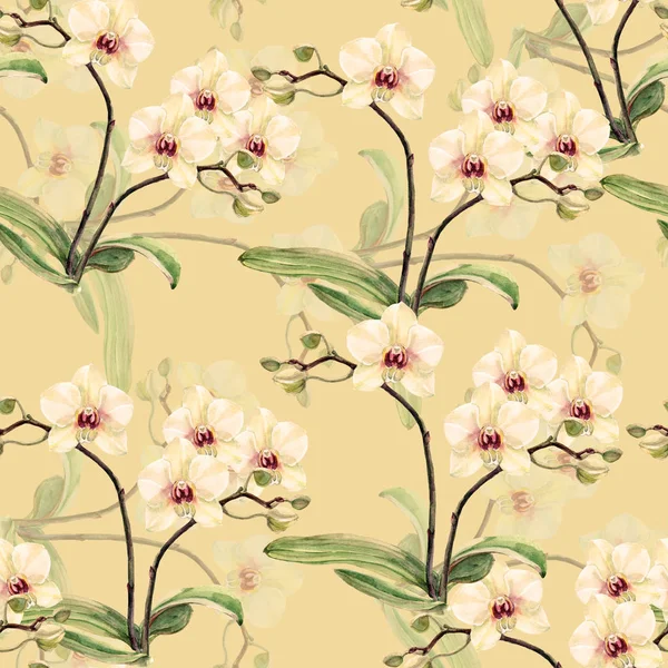Watercolor White Orchid Floral Seamless Pattern Beige Background — Stock Photo, Image