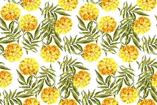 Akvarell Blomma Marigold Seamless Mönster För Design Vit Bakgrund — Stockfoto