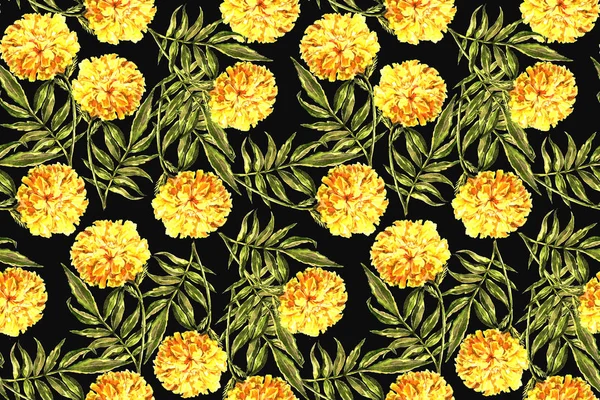 Suluboya Çiçek Kadife Çiçeği Siyah Bir Arka Plan Tasarımı Için — Stok fotoğraf