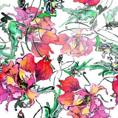 Sulu boya dekoratif renkli haşhaş gölge. Çiçek seamless modeli. Beyaz arka plan.
