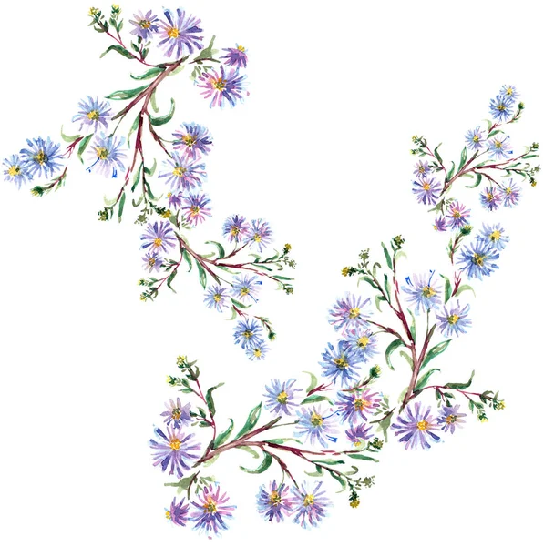 Akwarela Niebieski Kwiat Ilustracja Kwiatowy — Zdjęcie stockowe