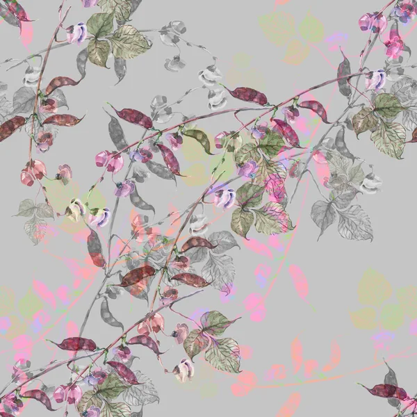 水彩花インゲン 明るい灰色の背景にシームレス パターン — ストック写真