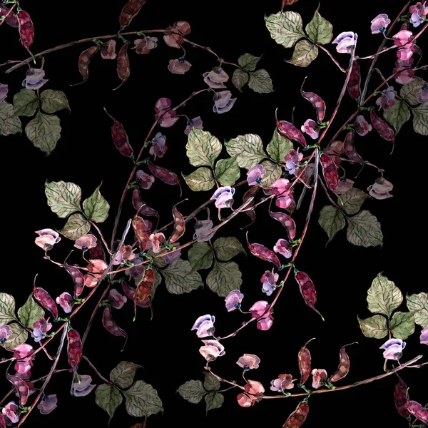 Ακουαρέλα Λουλούδι Φασόλια Απρόσκοπτη Μοτίβο Μαύρο Φόντο — Φωτογραφία Αρχείου