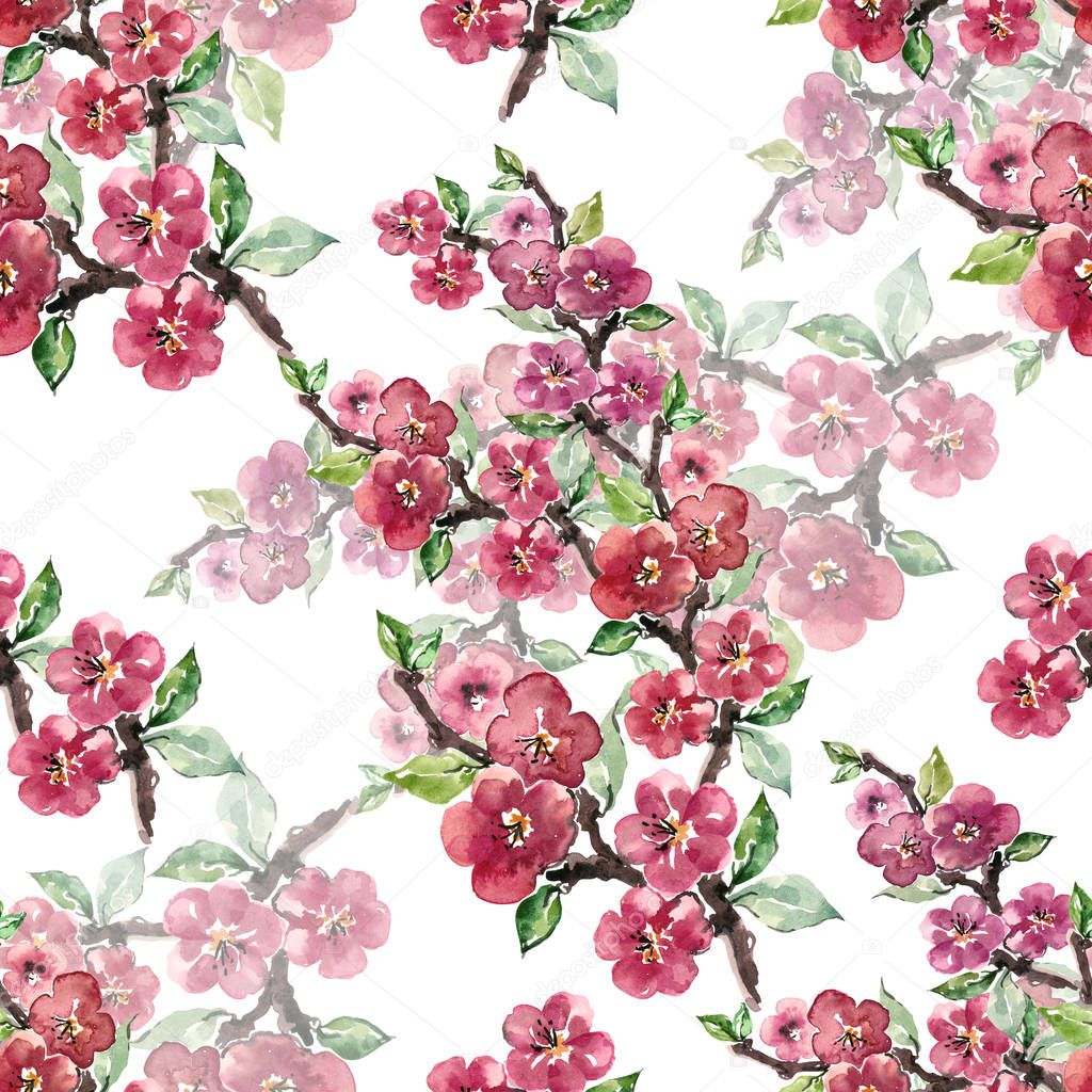 Watercolor branch flowers apple. Seamless pattern on white background.
