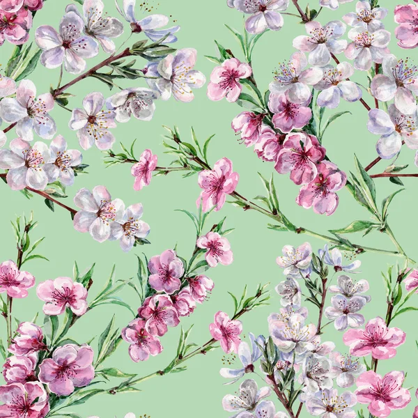 Akvarell Őszibarack Cseresznye Virágok Lime Zöld Hátteret Varrat Nélküli Mintát — Stock Fotó