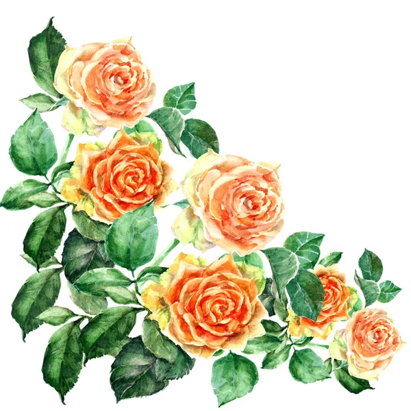 Canto Rosas Laranja Aquarela Ilustração Floral — Fotografia de Stock